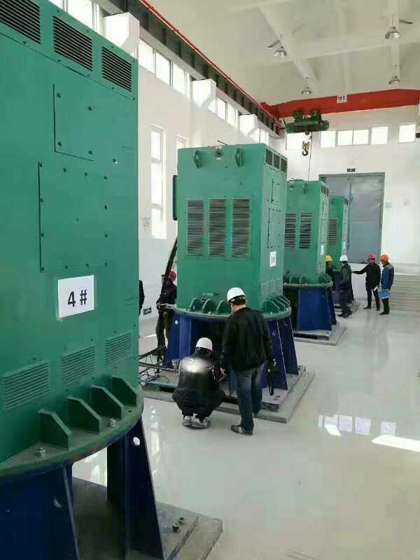 Y5006-10某污水处理厂使用我厂的立式高压电机安装现场