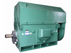 Y5006-10Y系列6KV高压电机
