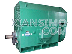 Y5006-10YXKK(2极)高效高压电机技术参数